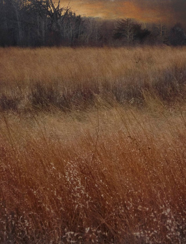 Prairie